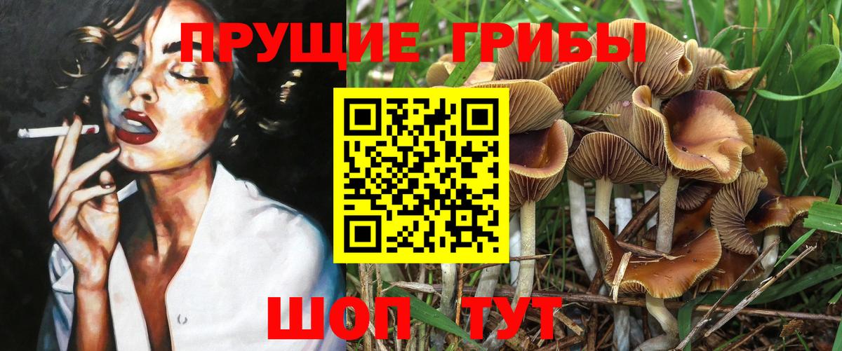 Псилоцибиновые грибы Cubensis  Псилоцибиновые грибы MAGIC MUSHROOMS  Калининград  Вход с VPN 
